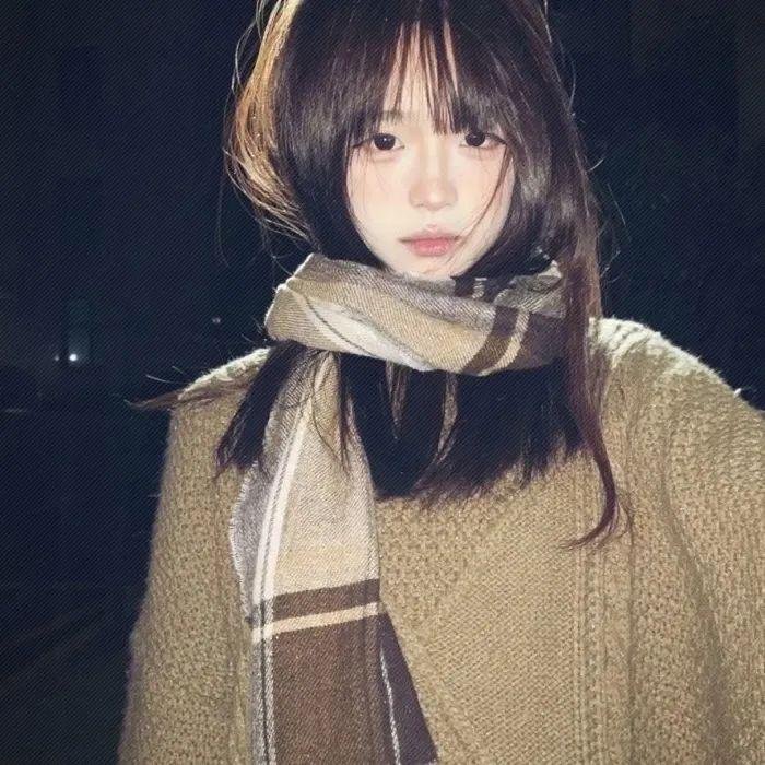 贝壳收藏家